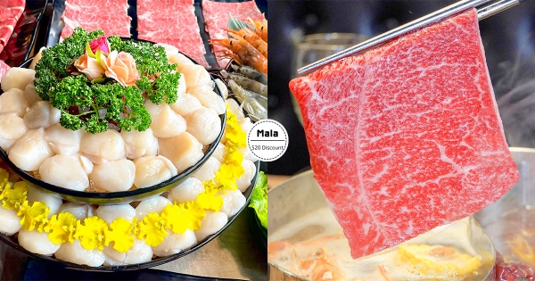 【北部】快對身分證！　馬辣集團「520六大優惠」中2碼就送　超狂招待「生食級大干貝」整桌吃到飽！