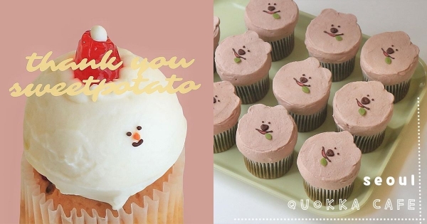 【韓國】可愛直接得分！弘大咖啡廳超人氣杯子蛋糕　畫上「袋鼠軟萌小臉」療癒到讓人化開！