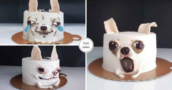 【台中】超吉鬧事！　人氣客製「造型吉蛋糕」　神還原「歪臉7pupu」欠扁汪樣～