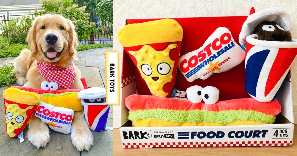 【海外】給本汪來一片披薩！　「好市多狗狗餐」咬咬玩具盒　熱狗＋可樂玩偶太可愛！