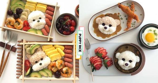 吃飯別忘了儀式感！　超簡單DIY「狗狗飯糰」詳細分鏡教學　隨手捏「貴賓飯、柴柴飯」0廚藝也會做！