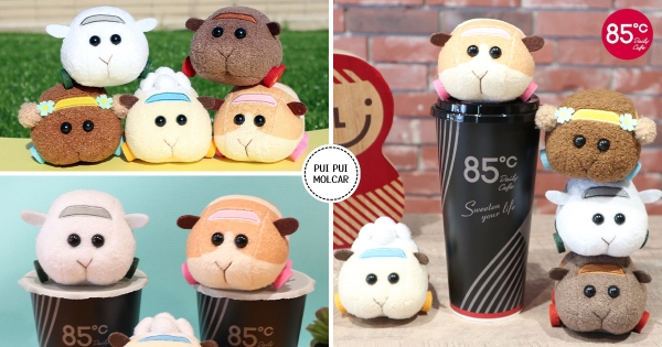 【全台】天竺鼠車車開進85˚C！　最萌5款「立體冰箱貼」加價購　超軟Q「西羅摩、馬鈴薯」一起Pui Pui～