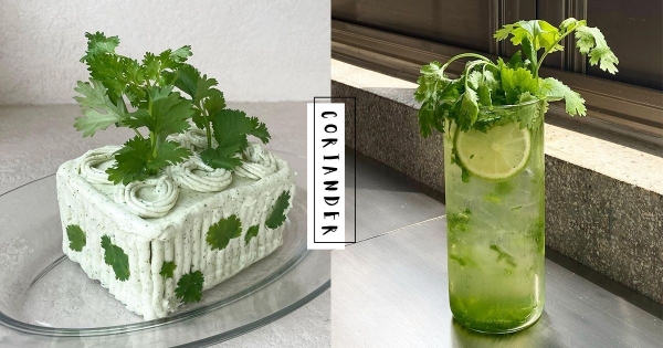 【韓國】勇者請進！　咖啡廳發奇想「香菜變甜點」　「香菜蛋糕、香菜氣泡飲」怪異口味超讓人崩潰！