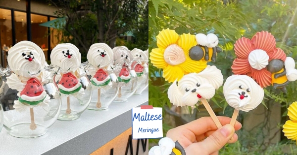 【日本】給我來十隻♡　「瑪爾濟斯馬林糖」呆萌模樣超療癒　狗狗的一百種模樣這兒找！