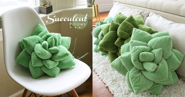 沙發長出多肉了！　增添綠意的「多肉抱枕」抱起來軟綿綿反差好療癒～