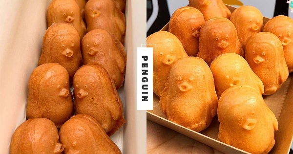 【韓國】可愛炫風擋不住♡　呆萌療癒「嘟嘟嘴企鵝」雞蛋糕　排排站的「逗趣表情實在太Q」！