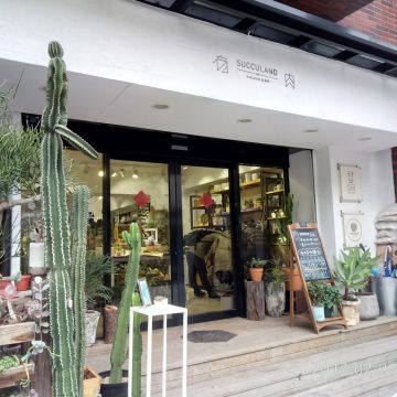 有肉 Succulent & Gift