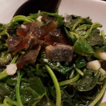 新の店（板橋店）