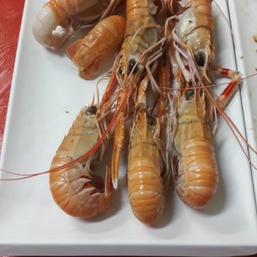 大眾海產店（二林店）