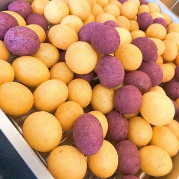 老巷弄地瓜球-屏東店