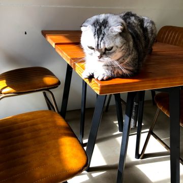 和日方常 holy cube