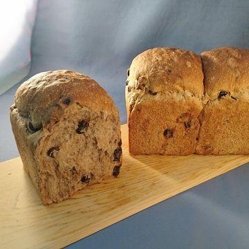 陽光宣言烘焙坊