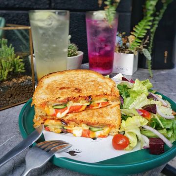 Mallard Grilled Cheese Eatery 野鴨小餐館