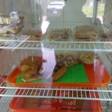 深澳沙魚烟大王