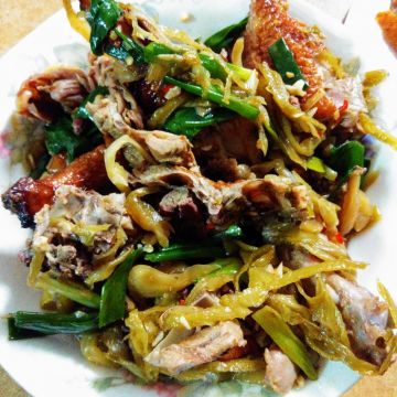 金磚鴨（板橋店）