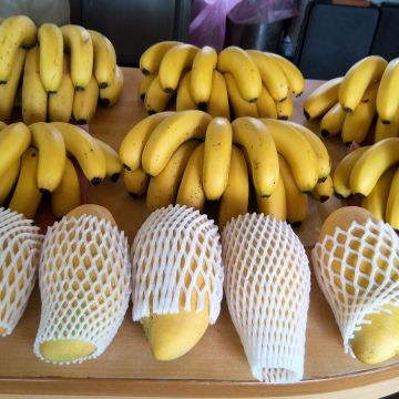 魔法阿嬤的新家