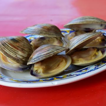 郭記蚵王澎湖現烤生蠔