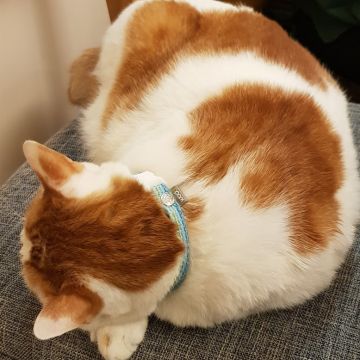 咖啡實驗室 Coffee Lab