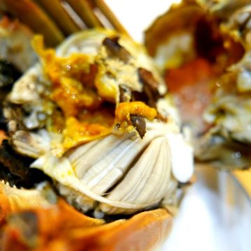 菊川日式料理館