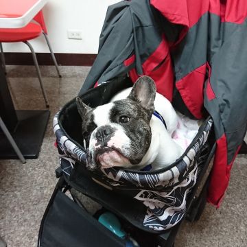 美式早餐屋 American Breakfast