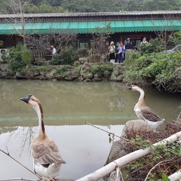 三空泉休閒農場