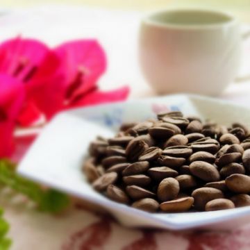 香香久溢咖啡莊園