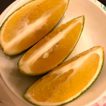 戰秋風茶藝簡餐