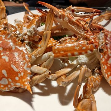 丸傑水產餐廳。海鮮火鍋