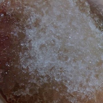 蔡家庄嘉義粉條冰