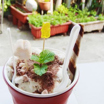 盆栽冰淇淋（新竹東區店）