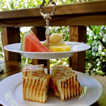 南庄山芙蓉咖啡藝廊