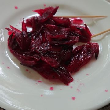 紅庄田園咖啡簡餐