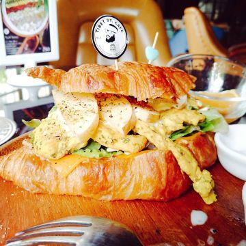 彩色菠菠 Color BoBo