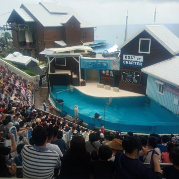 花蓮海洋公園-海洋冰品屋