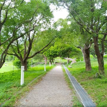 達文士義大利咖啡餐廳