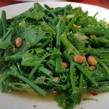 山水香庭園野菜屋