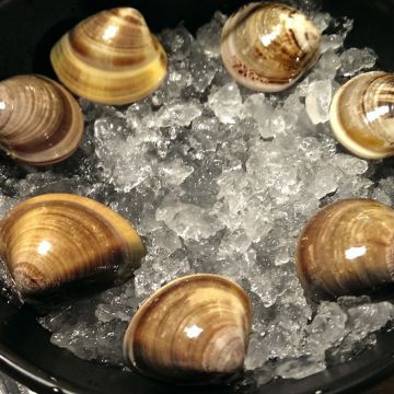 饗樂shabu 精緻鍋品