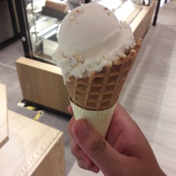 小象樹義式冰淇淋