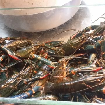 捌柒海產粥（台南北區店）