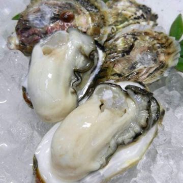 火之舞蓁品燒 和牛放題 桃園店