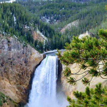 黃石公園炭烤牛排