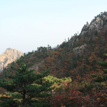 雪嶽山（嘉義東區店）