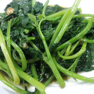 琴 虱目魚雞肉飯