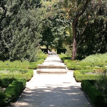 皇家馬德里 Royal Madrid