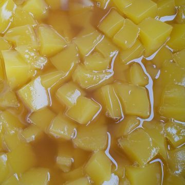 同心粉圓（樹下阿婆粉圓2店）