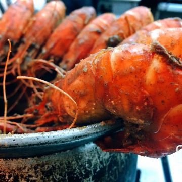 黃金海岸-旗艦店