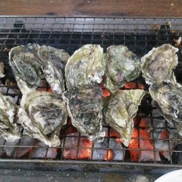 星光閣樓海洋牧場