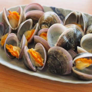 迦南海陸牛肉麵