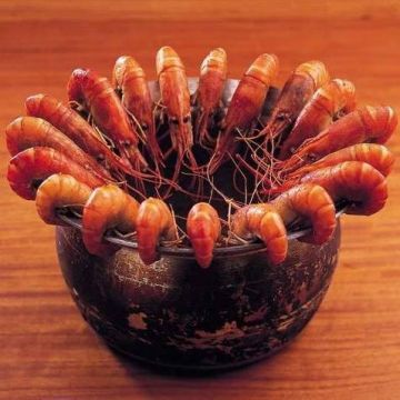 西海岸活蝦料理