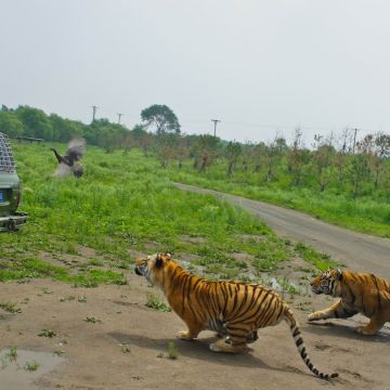 冰城（羅東店）